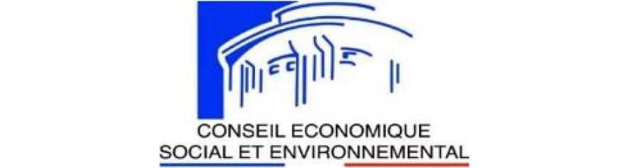 Logo conseil économique sociale environnementale