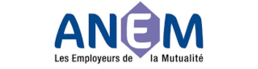 Logo Anem