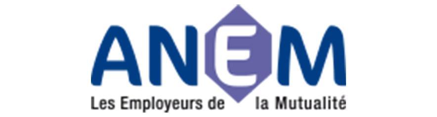 Logo anem